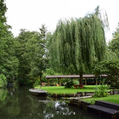 老爹披萨店历险记